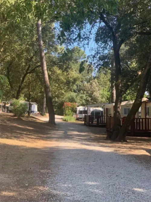 Camping La Foux - Draguignan, Côte d'Azur, Zuid-Frankrijk