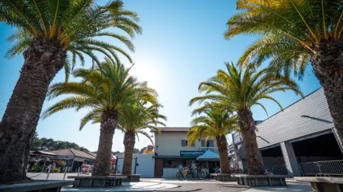 Camping Le Vieux Port - Messanges, Nouvelle-Aquitaine, Zuid-Frankrijk