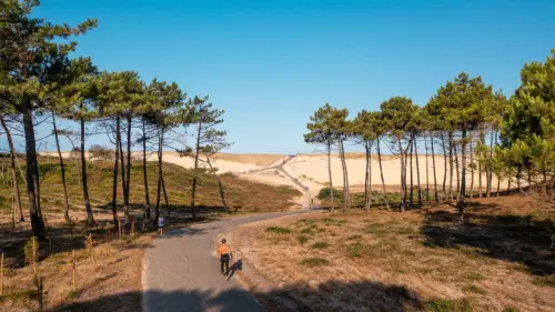 Camping Le Vieux Port - Messanges, Nouvelle-Aquitaine, Zuid-Frankrijk