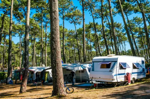 Camping Le Vieux Port - Messanges, Nouvelle-Aquitaine, Zuid-Frankrijk