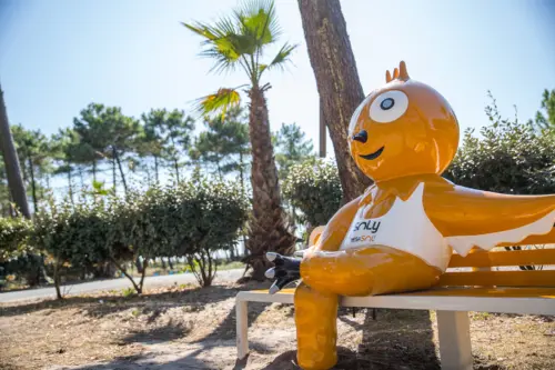 Camping Le Vieux Port - Messanges, Nouvelle-Aquitaine, Zuid-Frankrijk