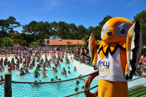 Camping Le Vieux Port - Messanges, Nouvelle-Aquitaine, Zuid-Frankrijk