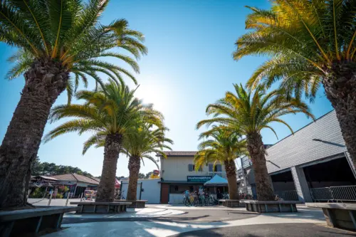 Camping Le Vieux Port - Messanges, Nouvelle-Aquitaine, Zuid-Frankrijk