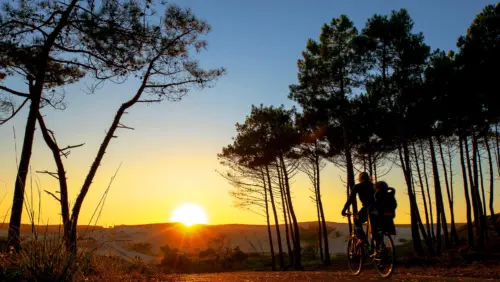 Camping Le Vieux Port - Messanges, Nouvelle-Aquitaine, Zuid-Frankrijk